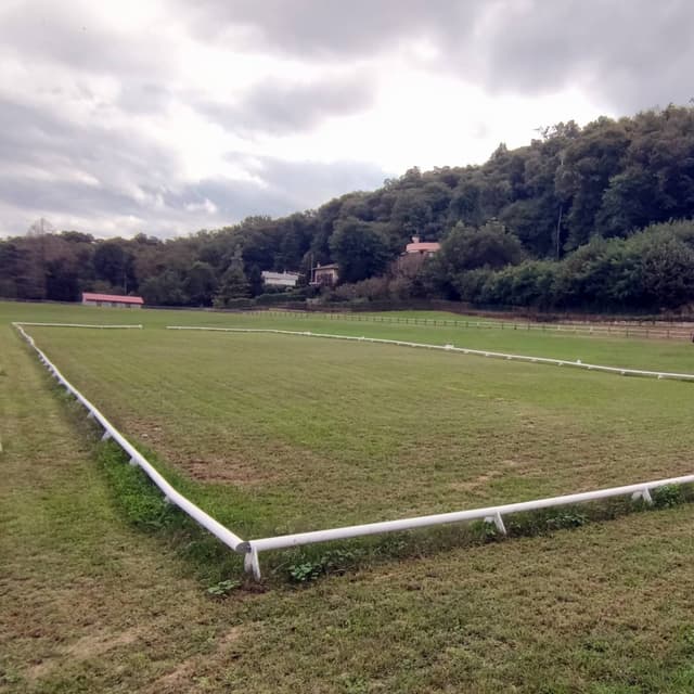 Rectangle de dressage 20x40 (Training)